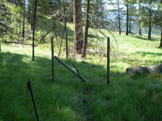 Comes to a relatively flat meadow, look for opening in the fence, Eagle Bluff Trail 2013-05.